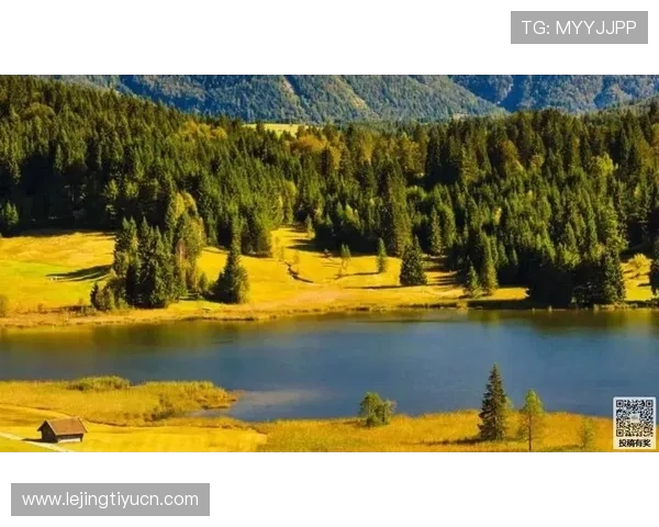 PG电子代理常见问题解答及新手入门必备的详细操作流程介绍